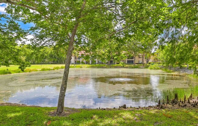 NOW AVAILABLE -  1 Bed 1 Bath Apartment in Naples!