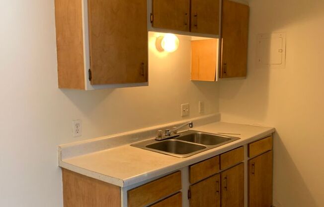 2 beds, 1 bath, 550 sqft, $725, Unit 1119-101