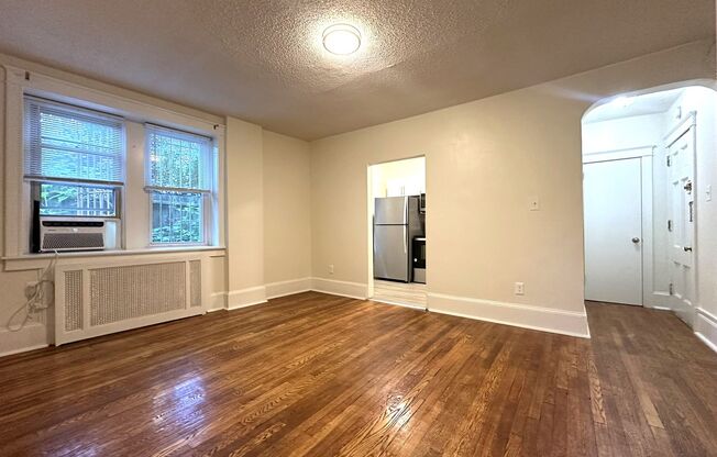 1 bed, 1 bath, 550 sqft, $1,115, Unit Apt 203