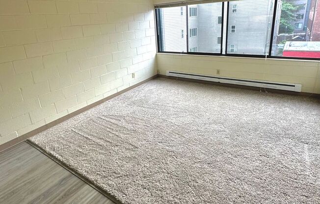 Studio, 1 bath, 302 sqft, $1,100, Unit 302