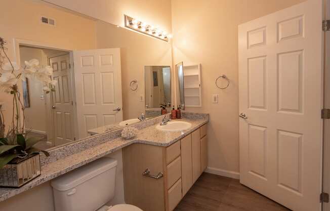 Stoneridge model 1 primary bathroom