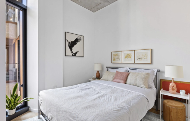 1 bed, 1 bath, 519 sqft, $4,500, Unit 7P