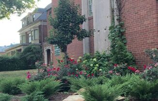 1 bed, 1 bath, $1,135, Unit 10