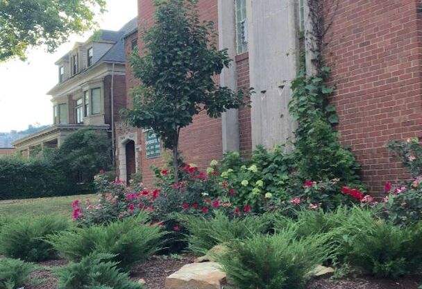 1 bed, 1 bath, $1,135, Unit 10