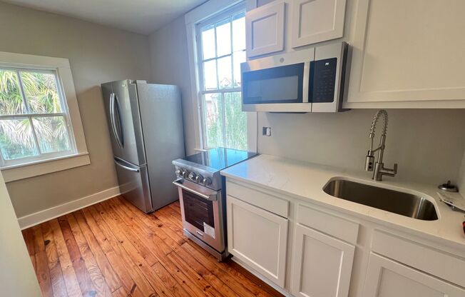 1 Bedroom 1 Bath Apartment in Wraggsboro - Downtown