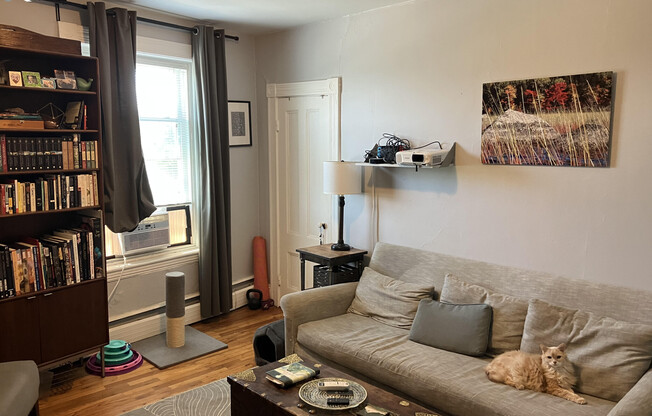 545 SOMERVILLE AVE