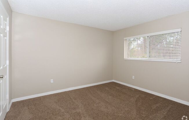 1 bed, 1 bath, 800 sqft, $999