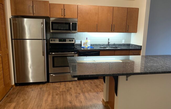 Studio, 1 bath, 541 sqft, $1,325, Unit 301