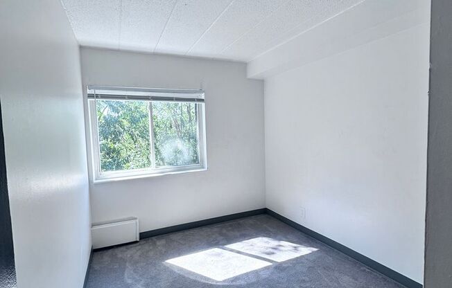 2 beds, 1 bath, 644 sqft, $900, Unit Pine Cone Village B-26