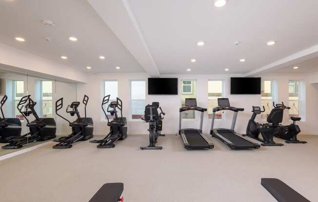 Diverse selection of cardio equipment