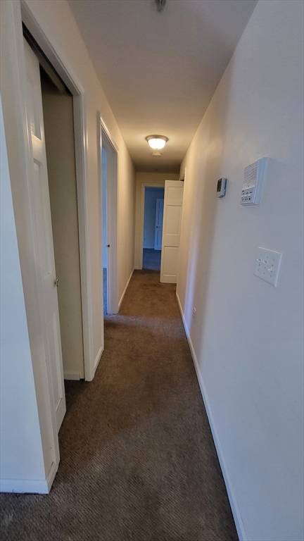 2 beds, 1 bath, 972 sqft, $2,200, Unit 303