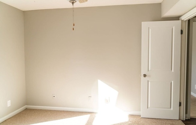 A room with a white door and a carpet on the floor.