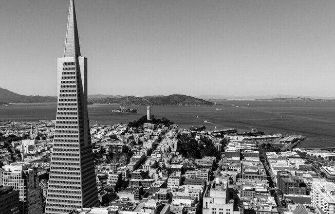 a black and white view of the skyline and the salesforce tower at L Seven, San Francisco
