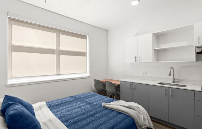 Studio, 1 bath, 252 sqft, $1,125