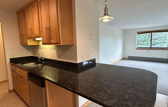 1 bed, 1 bath, 800 sqft, $1,395, Unit 301