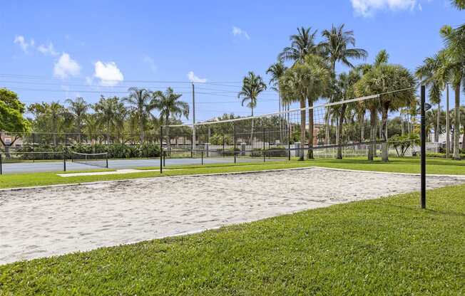 a volleyball court in a park with palm trees