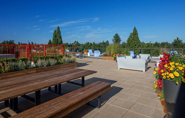 a roof terrace with benches and chairs and plants