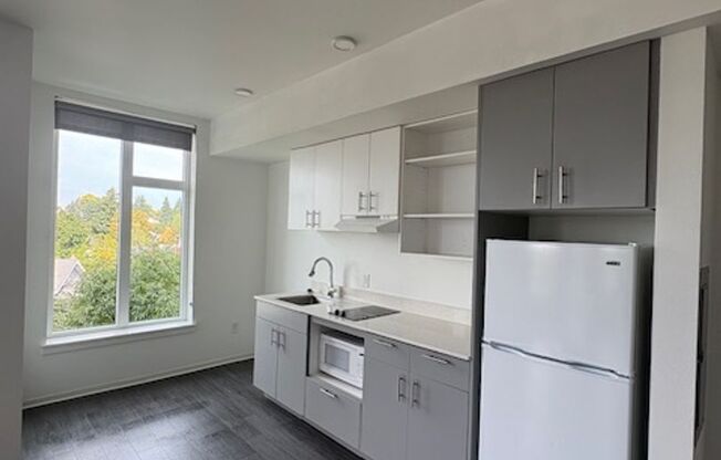 1 bed, 1 bath, 386 sqft, $1,399, Unit 607