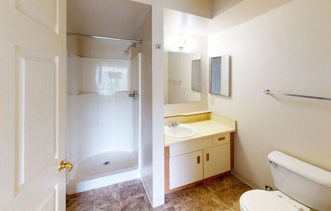 a second bathroom with a walk-in shower