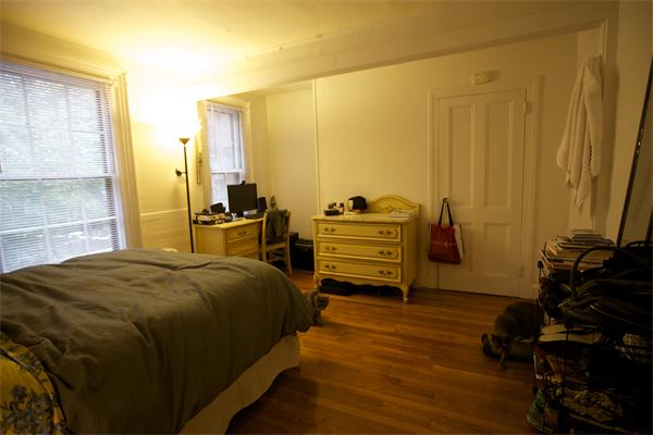 1 bed, 1 bath, 1,000 sqft, $3,100, Unit #1