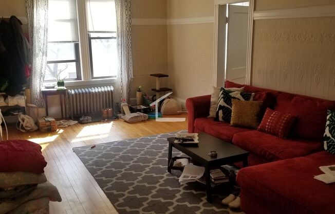 8 Bellvista Rd #4D Boston MA 02135