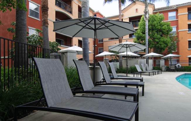 A row of lounge chairs are arranged in front of a pool.