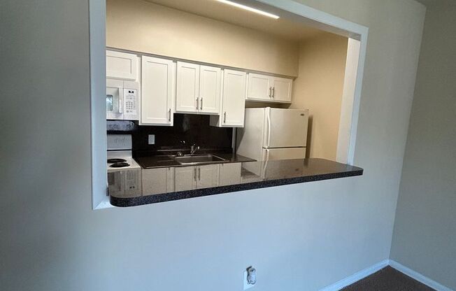 1 bed, 1 bath, 550 sqft, $1,250, Unit B307