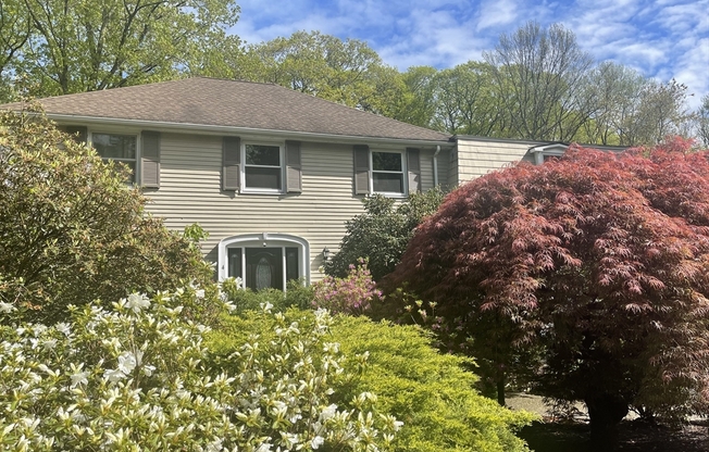 4 PADDOCK LN