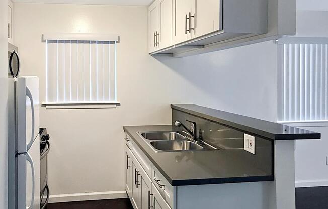 Ellendale Arms kitchen area with appliances