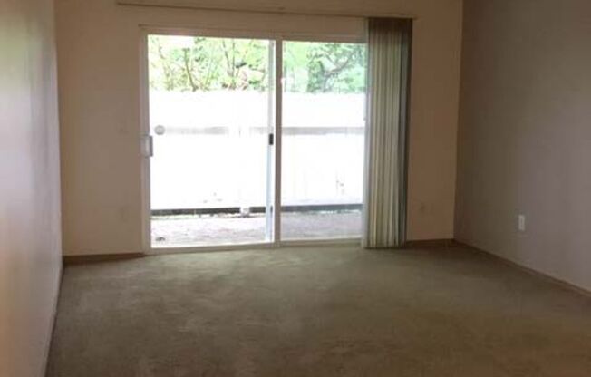 1 bed, 1 bath, 547 sqft, $1,250, Unit 31