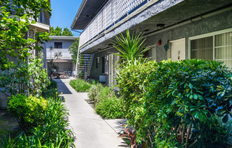 a sidewalk in front of a building with bushes and plants