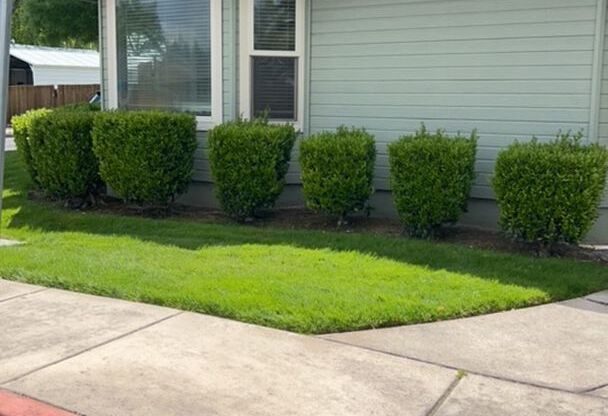 3 Bedroom 2 Bath Duplex