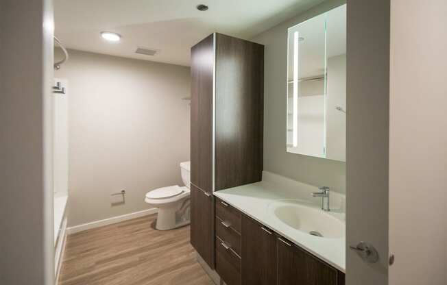 a bathroom with a sink and a toilet