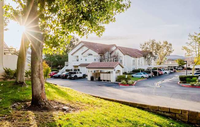 A tree is in the foreground of a residential street with houses on both sides.