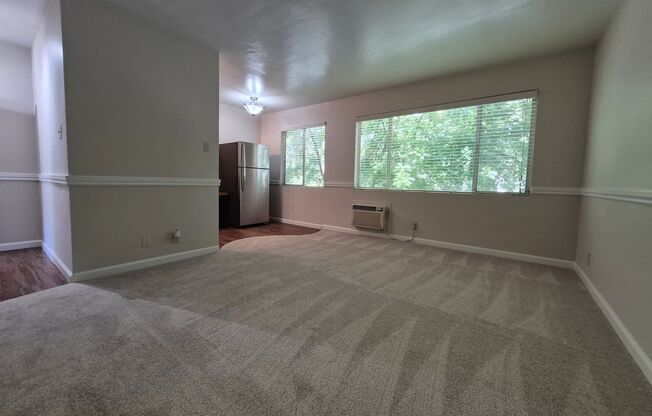 Studio, 1 bath, $1,425, Unit 212