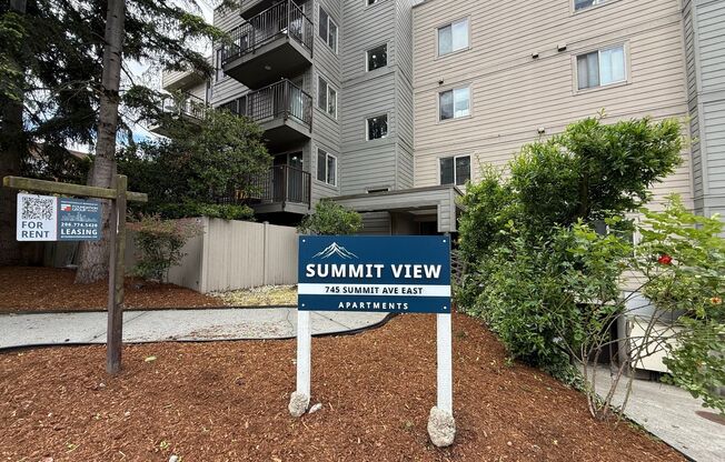 Summit View