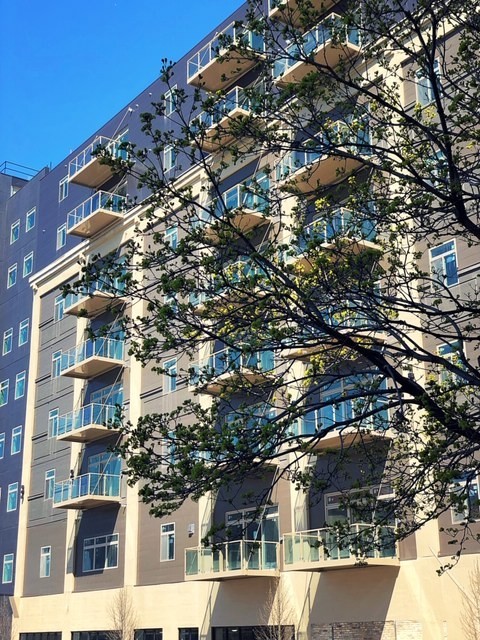 1 bed, 1 bath, 747 sqft, $1,800, Unit 310