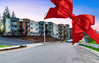 Studio, 1 bath, 466 sqft, $1,525, Unit D-300