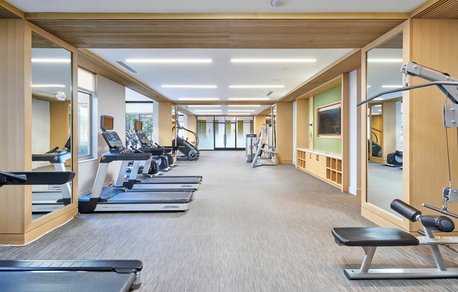 Newly Renovated Fitness Center With Cardio & Weight Machines, Free Weights & Brand New Yoga/Workout Studio