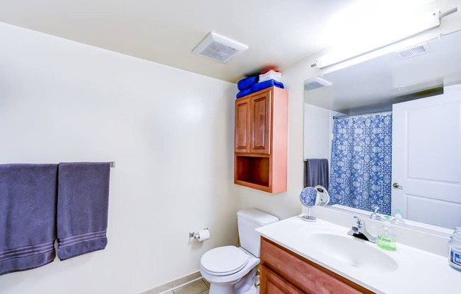 bathroom with vanity, large mirror, medicine cabinet, and toilet at park vista apartments in washington dc