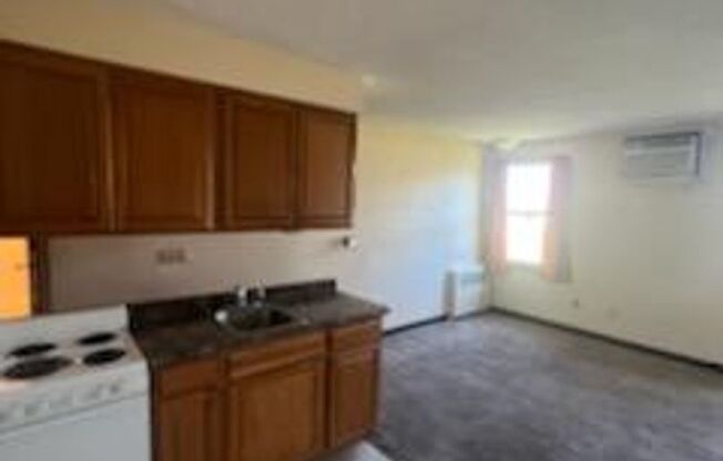 1 bed, 1 bath, 493 sqft, $650, Unit APT 4