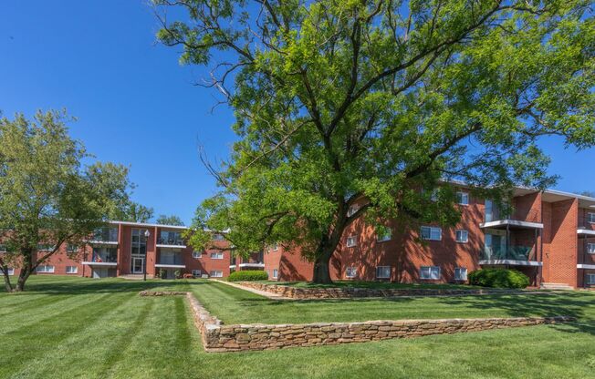 Professional Landscaping