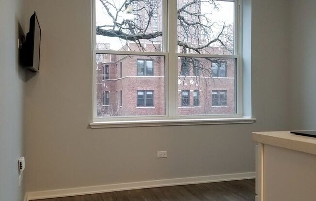 Studio, 1 bath, $1,150, Unit 204