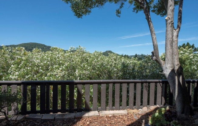 Parkside Apartments balcony and trees