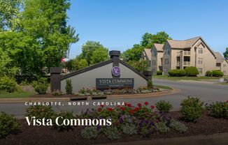 Vista Commons