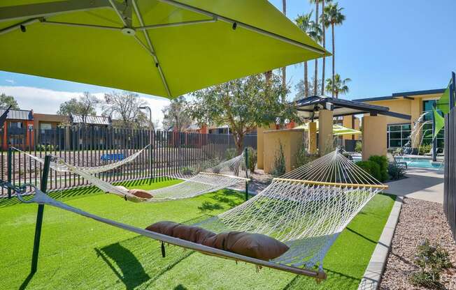 Outdoor lounge area with hammocks and umbrellas next to dog park and pool