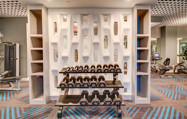 Free Weights at Allure Apollo, Camp Springs, 20746