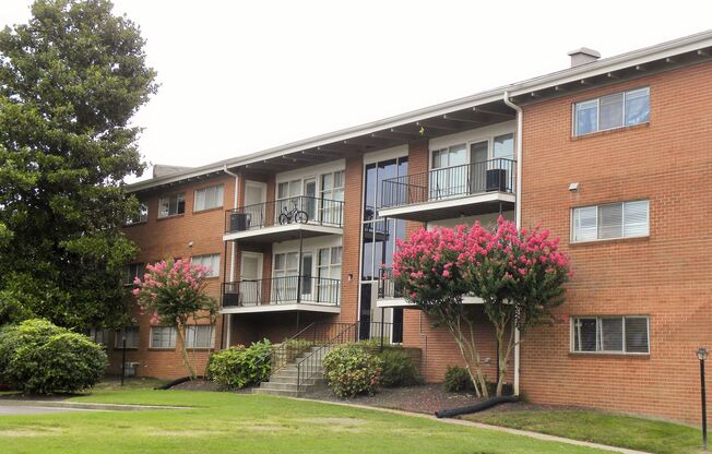 1 bed, 1 bath, 500 sqft, $999