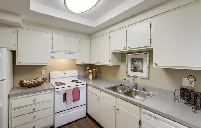 Welcome to Mesa Village Apartments
