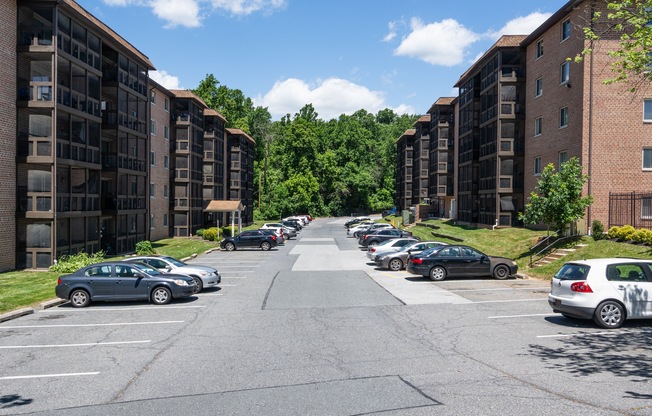 The Colony Apartments